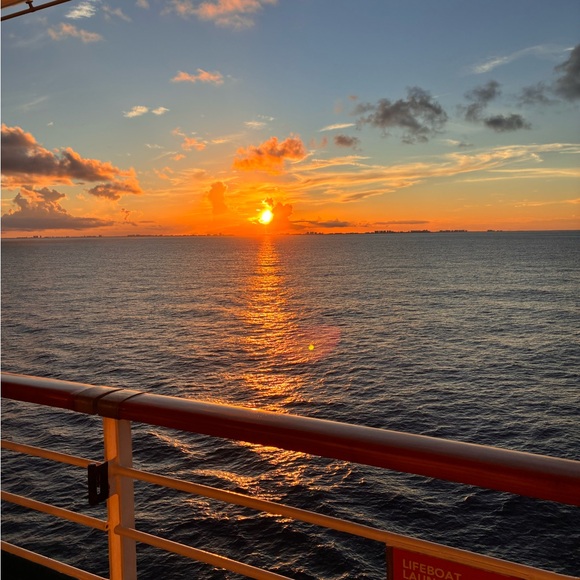 Meet your Posher, CeeCee - Picture 2 of 4